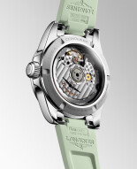 Conquest L34304029
