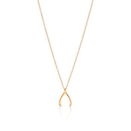 Náhrdelník Wishbone WNECK012
